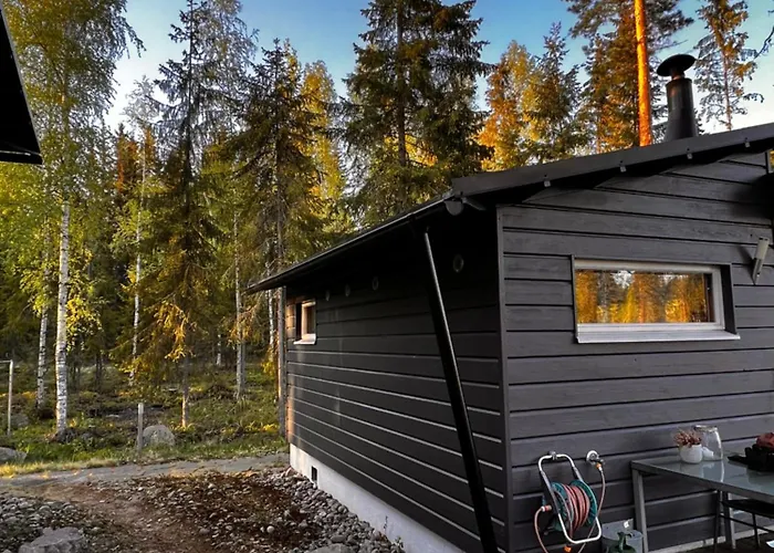 Шале Pirttiranta Iitia